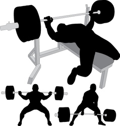 Powerlifting bench press squat deadlift vector image