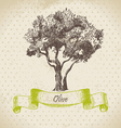 Olive tree hand drawn vector image
