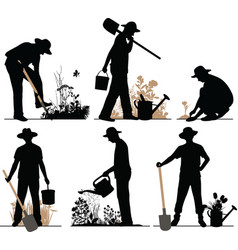 Gardener Gardener vector image