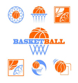 Basketball vector image