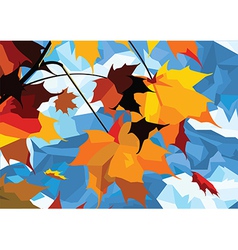 Autumn leaves maple vector image