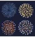 Set of Fireworks vector image