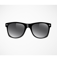 Sunglasses isolated vector image