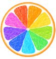 Orange vector image