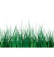 Green grass on white background Green grass on white background vector image