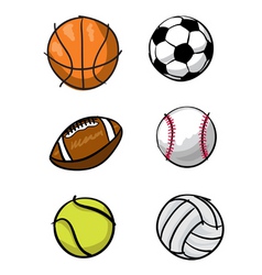 Kids sports balls vector image