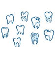 Human teeth set vector image