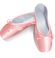 Ballet shoes vector image