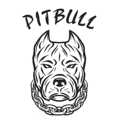 The head of a pit bull with a collar vector image