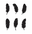 Feathers for design and decoration vector image