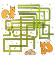 Maze find a path for squirrels Maze find a path for squirrels vector image