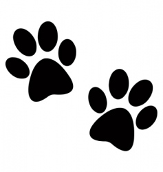 Paw print vector image