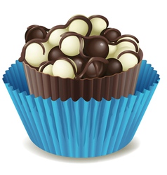 Chocos in blue cup vector image