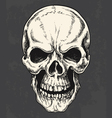 Hand Drawn Skull vector image