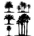 Tropical trees vector image