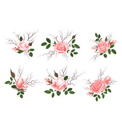 Bouquet of pink roses can be used as greeting Bouquet of pink roses can be used as greeting vector image