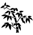 Bamboo silhouette vector image
