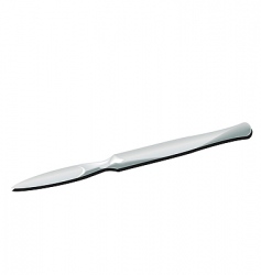 Scalpel vector image
