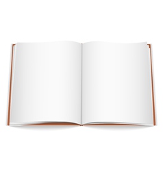 Open Book vector image