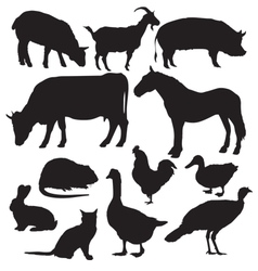 Farm animals vector image