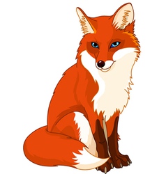 Fox vector image