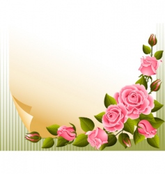 Roses background vector image