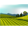Mountain landscape vector image