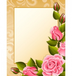 Roses background vector image