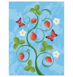 Strawberry vector image