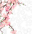 Vector sakura branch on ornate background vector image