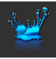 Splashing water with reflection vector image