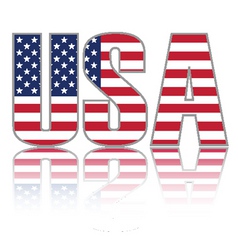 Us flag vector image