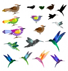 Birds set vector image