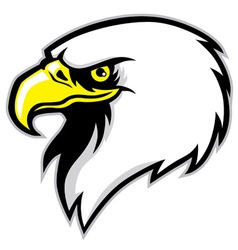 Eagle head mascot vector image