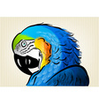 Blue parrot vector image