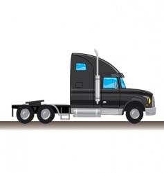 Mule vector image