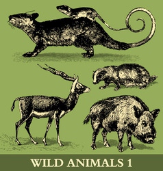 Wild animals vector image