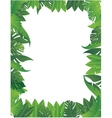 Tropical Leaf Background vector image