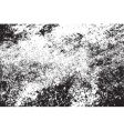 Grunge background vector image