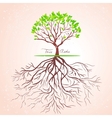 Tree roots vector image