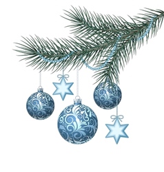 Blue christmas balls on green spruce branch vector image
