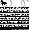 Horses vector image