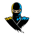 Ninja mascot in paint effect vector image
