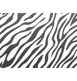 Backgrounds zebra skin vector image