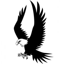 Eagle vector image