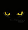 Cat eyes in dark night vector image