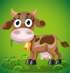 Cute baby cow chewing on a juicy grass vector image