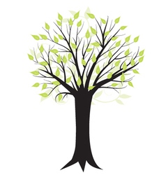 Tree vector image