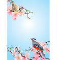 Birds on the blossoming cherry detailedvector vector image