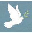 Dove with olive vector image